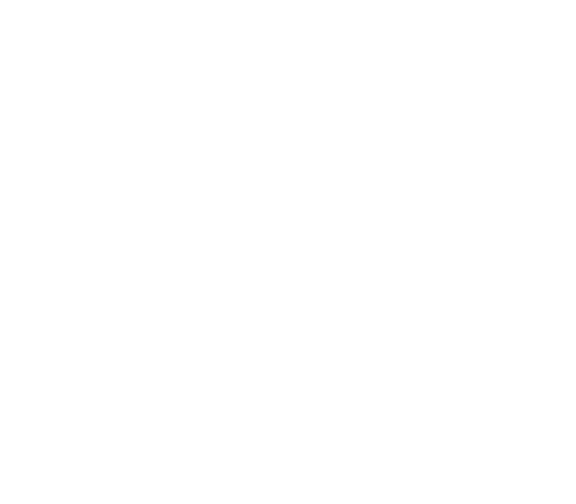 logo Dworek Tucholski Zblewo